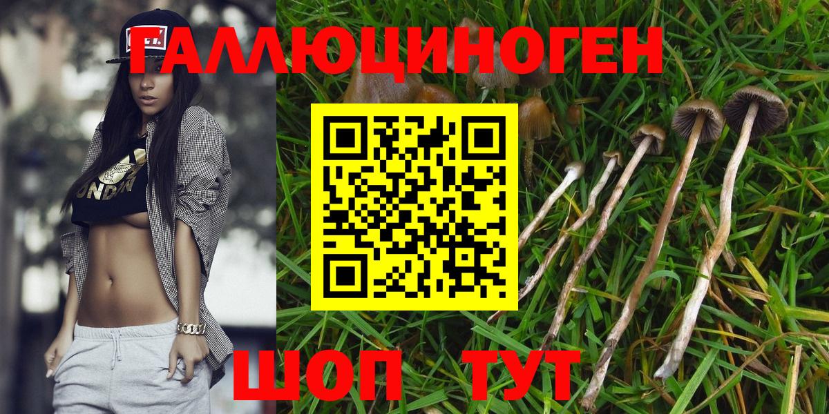 Галлюциногенные грибы мицелий Орехово-Зуево