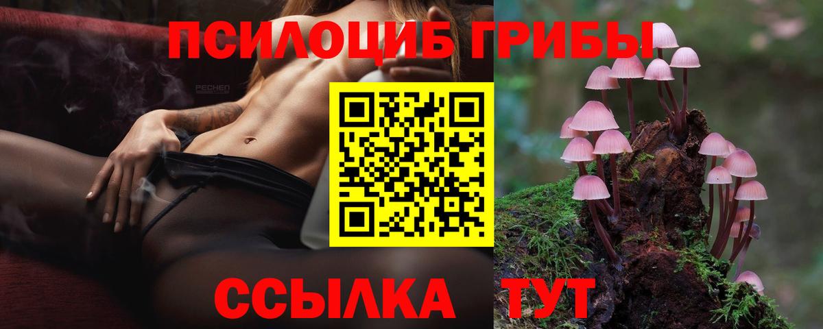 магазин  наркотиков  Вход с VPN  Орехово-Зуево  Галлюциногенные грибы ЛСД 